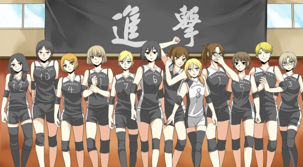 Команда Карасуно волейбол