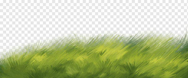 Акварельная трава