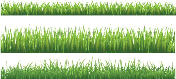 Трава векторное изображение