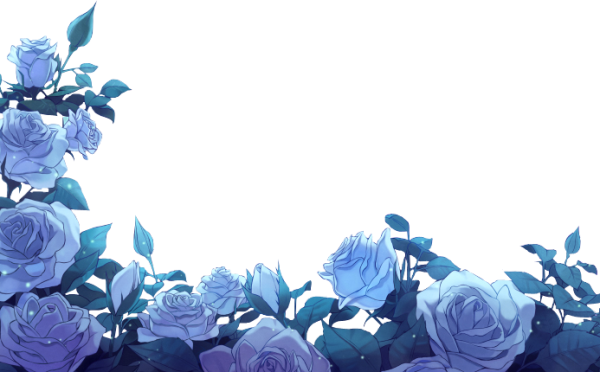 Голубая роза на белом фоне