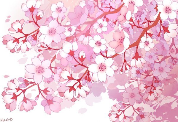 Аниме цветы Сакуры
