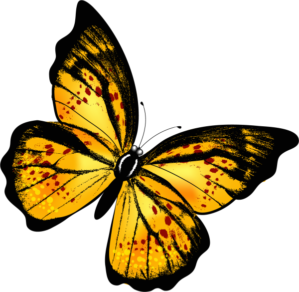 Арт бабочки на белом фоне