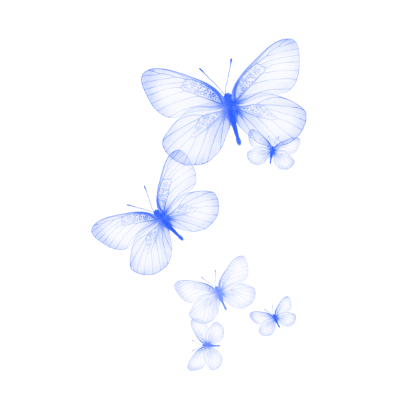 Бабочки на белом фоне
