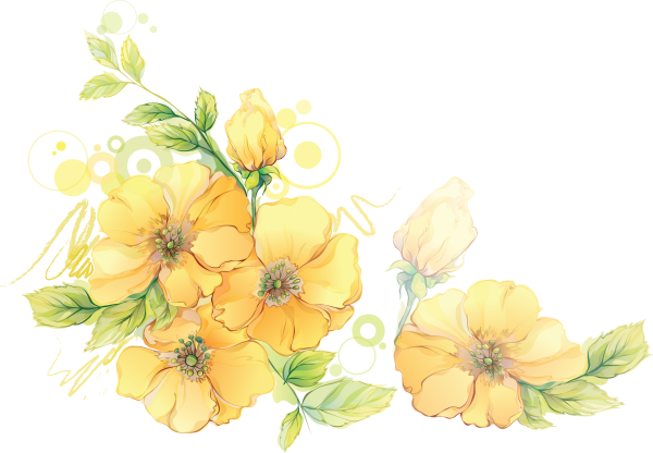 Желтые цветы акварель