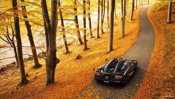 Koenigsegg autumn
