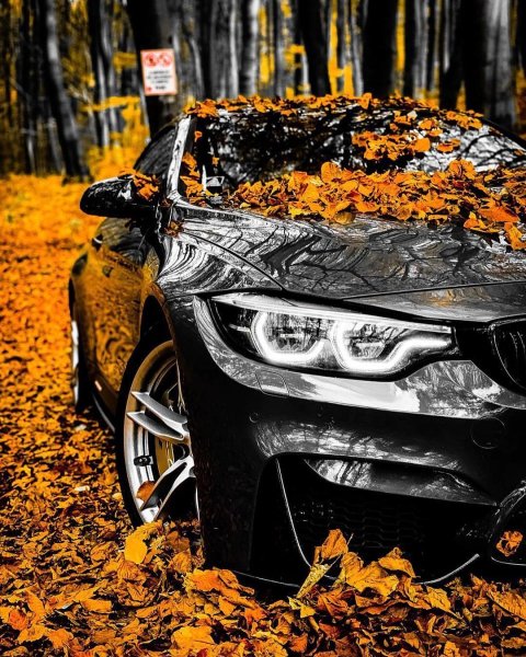 BMW 320i осень