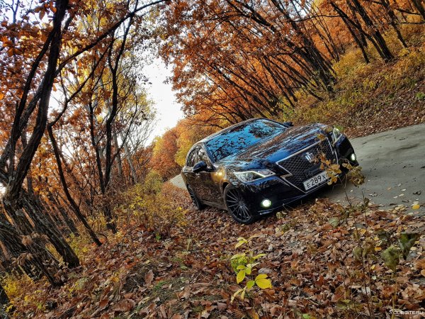 Машина в осеннем лесу