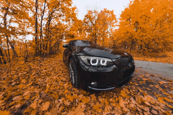 Красивый автомобиль фотосток осень