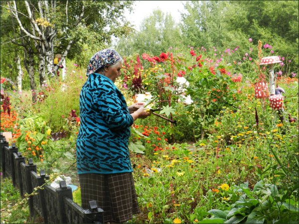 Бабушка в саду с цветами