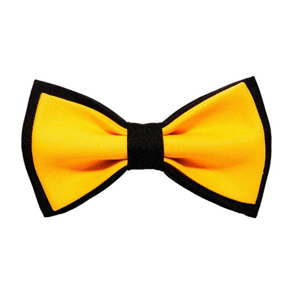 Желтый галстук бабочка