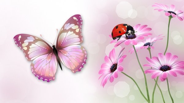 Бабочка на цветке рисунок