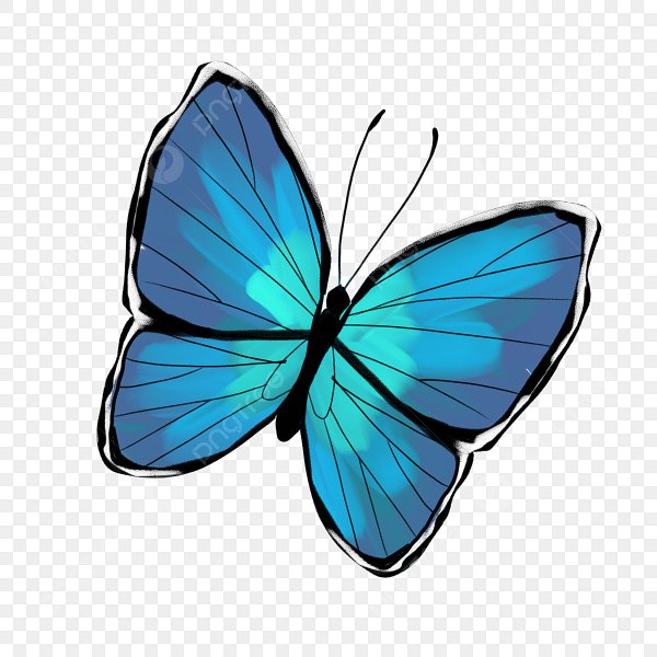 Бабочки голубого цвета на белом фоне