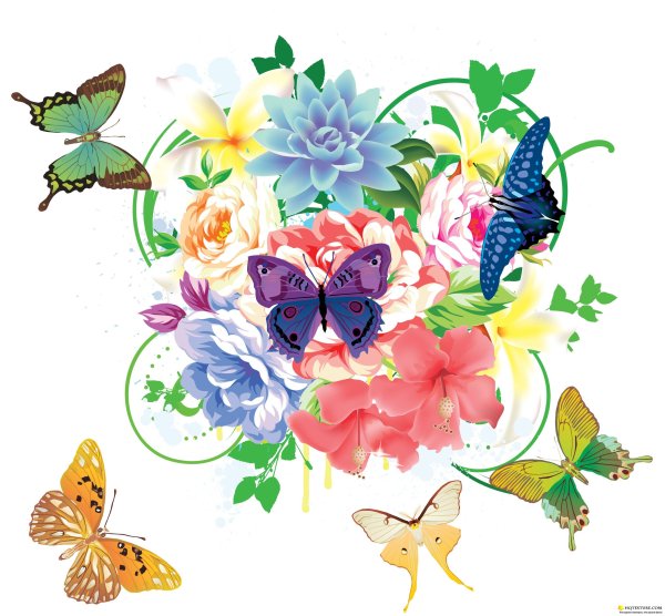 Цветные рисунки цветов и бабочек