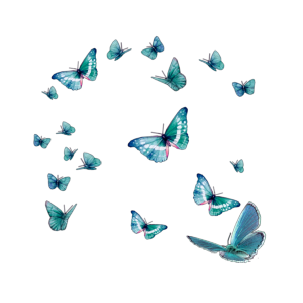 Стайка бабочек на прозрачном фоне