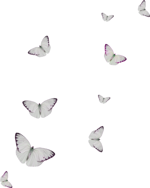 Маленькие бабочки на прозрачном фоне