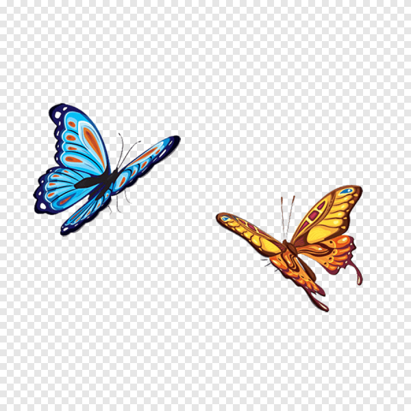 Бабочки без фона для фотошопа
