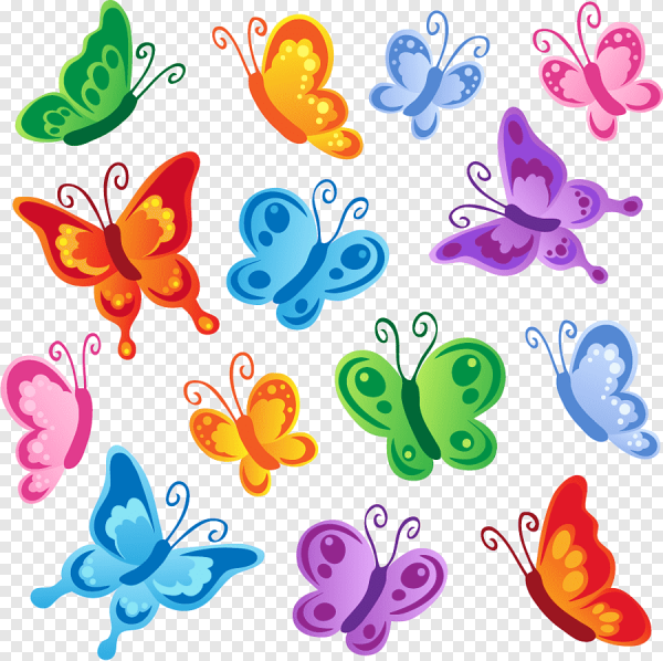 Цветные бабочки для детей