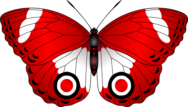Красные бабочки на белом фоне