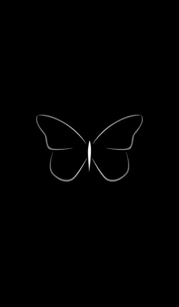 Бабочки на чёрном фонн