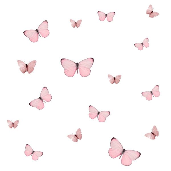 Бабочки на персиковом фоне