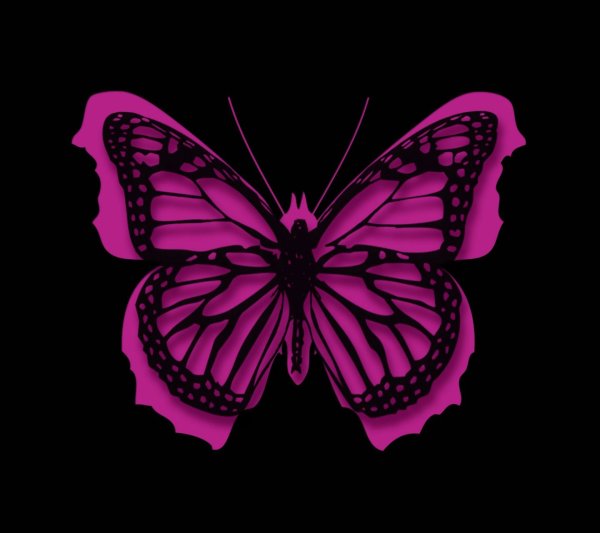 Розовые бабочки на черном фоне
