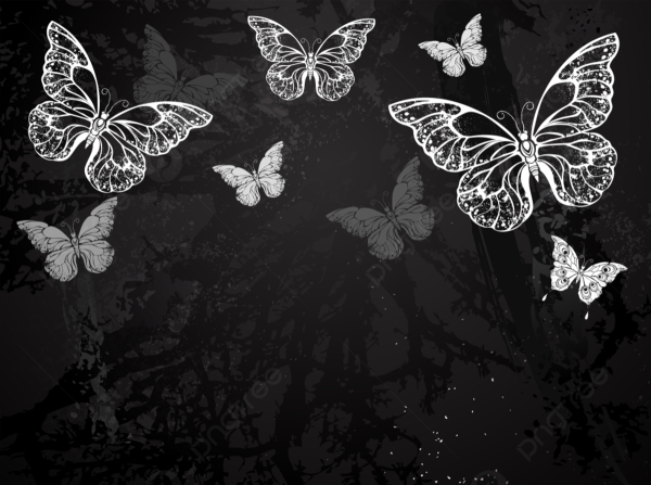 Бабочки мелкие черные фон