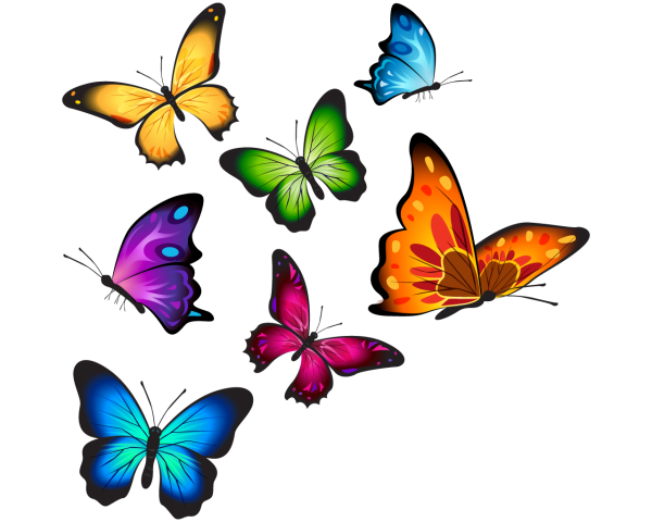 Бабочки цветные