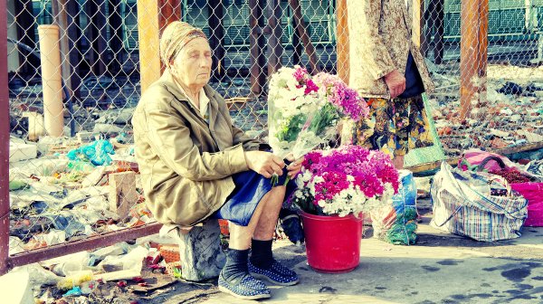 Бабушка торгует цветами