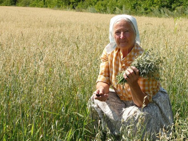 Бабка с травами