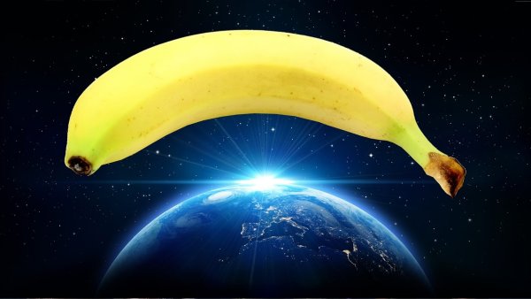 Земля для банана