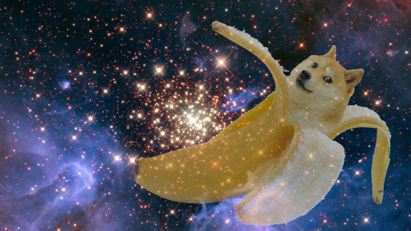 Космическая собака