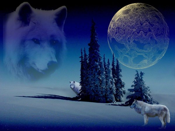Бегущий волк на фоне луны