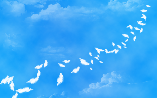 Голубое небо с голубями