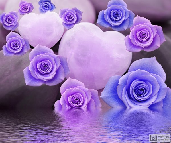 Фотообои фиолетовые розы