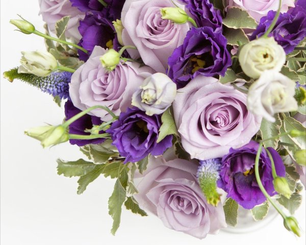 Фиолетовые кустовые розы