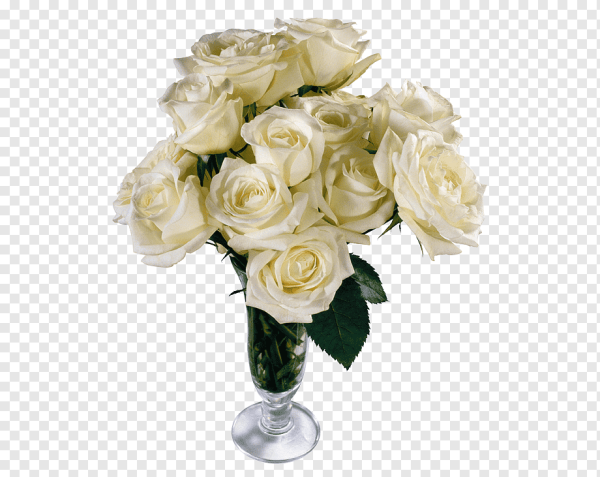 Белые розы в вазе на белом фоне