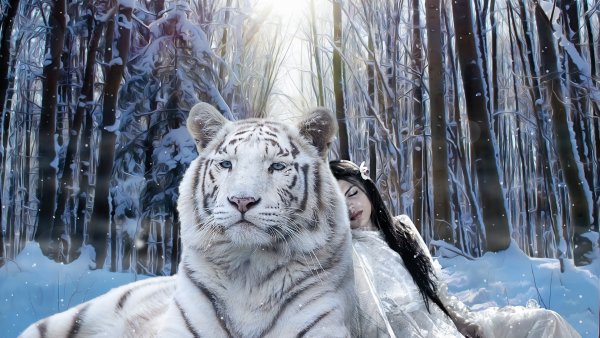 Снежный тигр