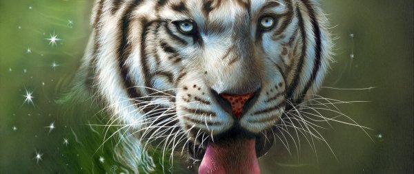 Коллин Богл художник белый тигр