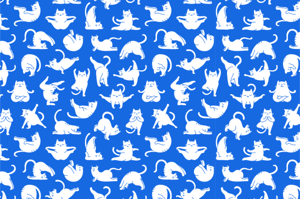 Котик на синем фоне