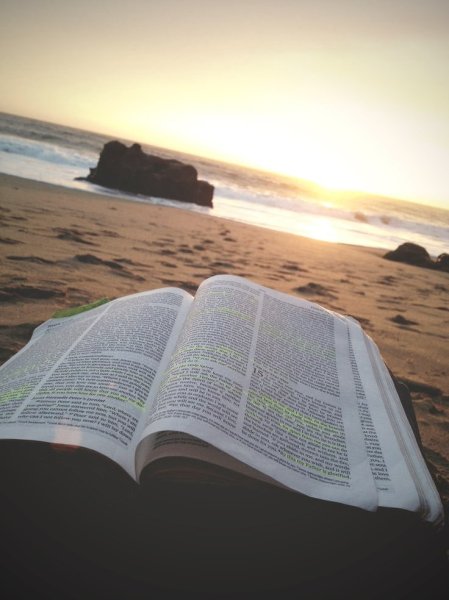 Библия у моря