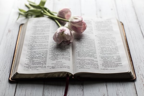 Библия и цветы