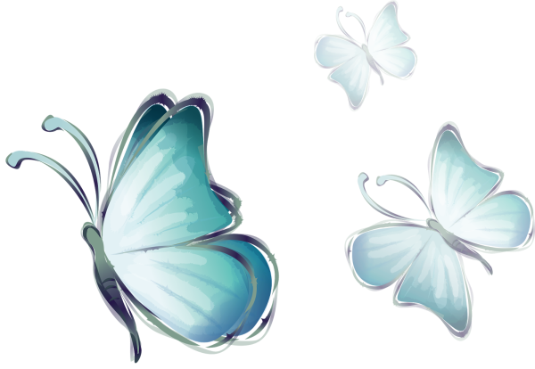 Бирюзовые бабочки на белом фоне
