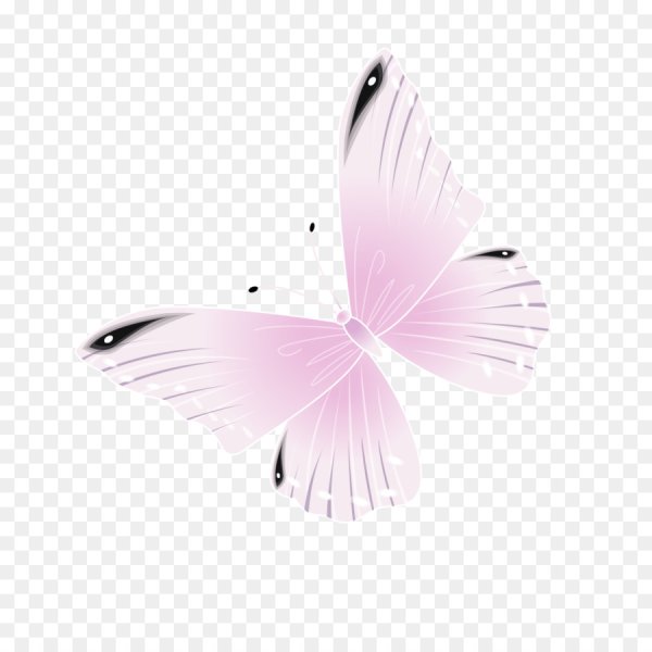 Бледно розовые бабочки на белом фоне