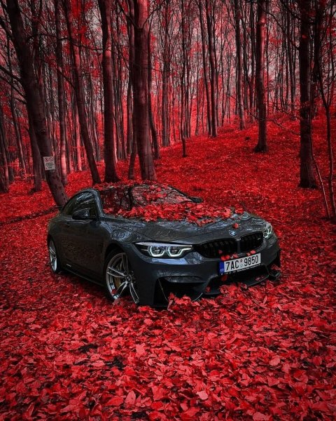 BMW e60 в лесу