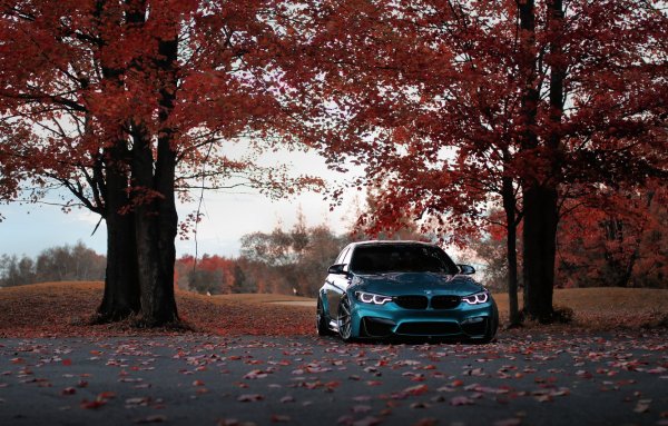 Красивые машины осень