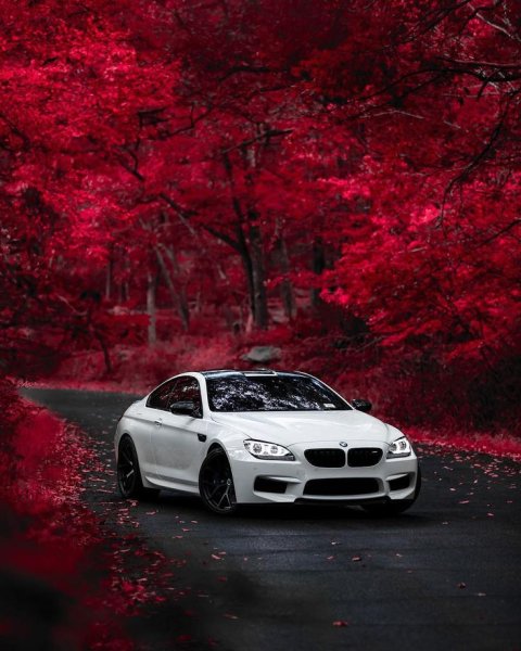BMW m6