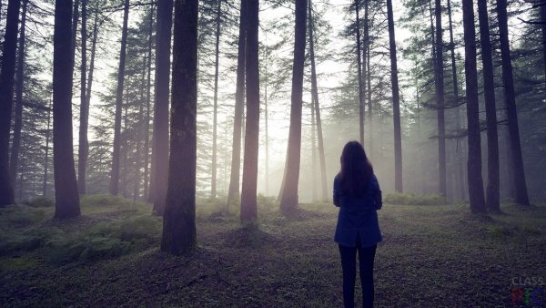 Девушка на фоне леса