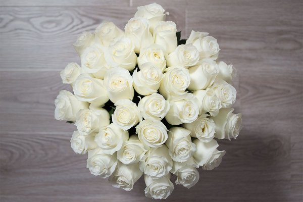 Букет белых роз на сером фоне