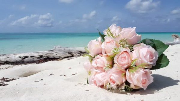 Букет роз на берегу моря