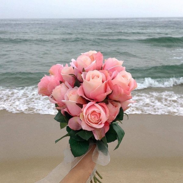 Море роз